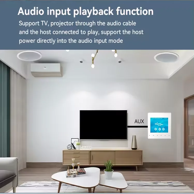 Home Bluetooth Wall Amplifier  - đánh giá và giá Audio Music For Background