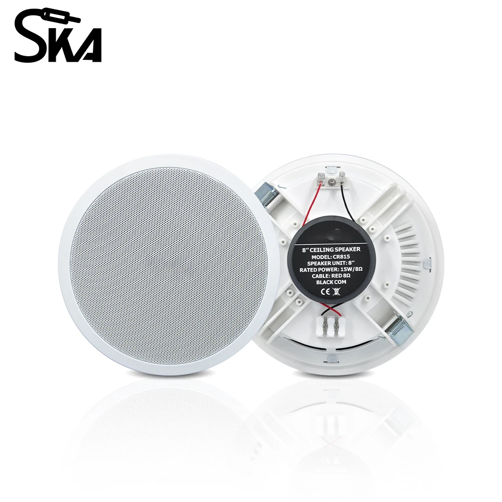 PW4420T+CR815 Smart Home Audio - đánh giá và giá Audio Music For Background