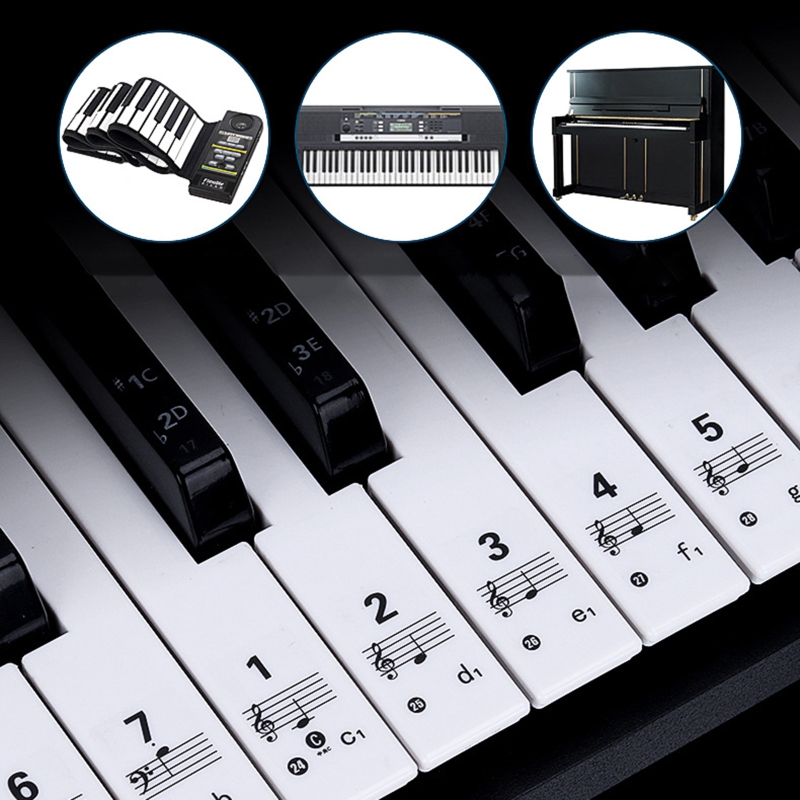 Q39E Trong Suốt Có Thể Tháo Rờ - đánh giá và giá Keyboard Piano 61 Key