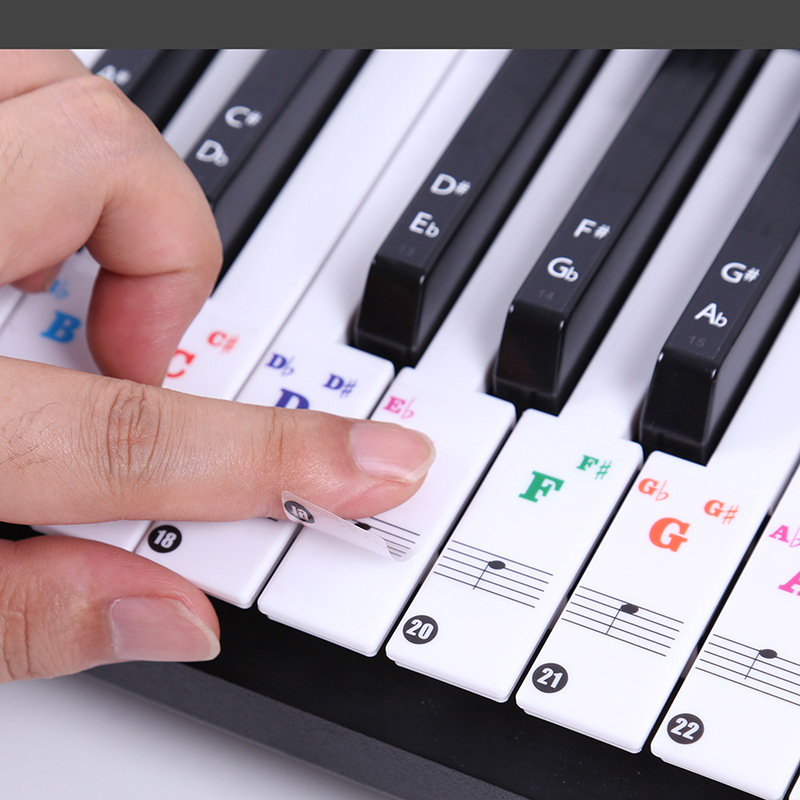 Transparent Piano Keyboard Sti - đánh giá và giá Keyboard Piano 61 Key