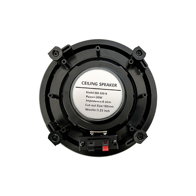 5.25 inch 8 ohm Ceiling Speake - đánh giá và giá Audio Music For Background