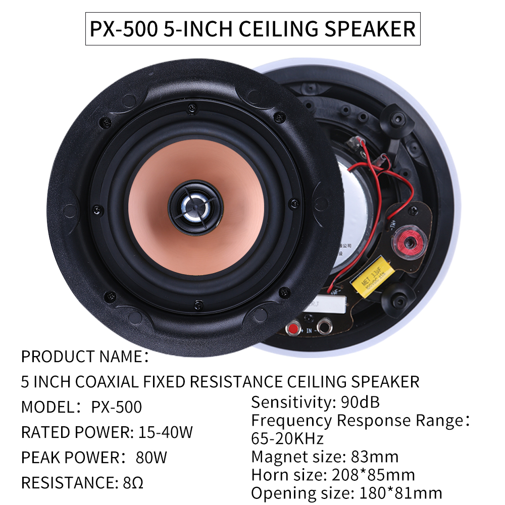 5.1 Home Theater Ceiling Speak - đánh giá và giá Audio Music For Background